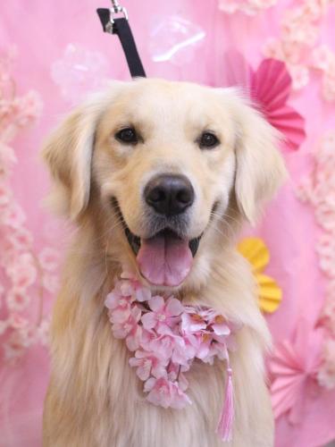 20250307レオくん